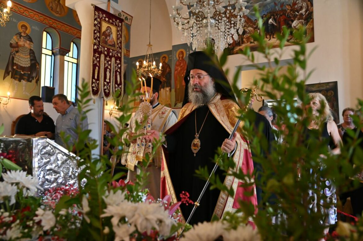 timies.kares.melampes (3)